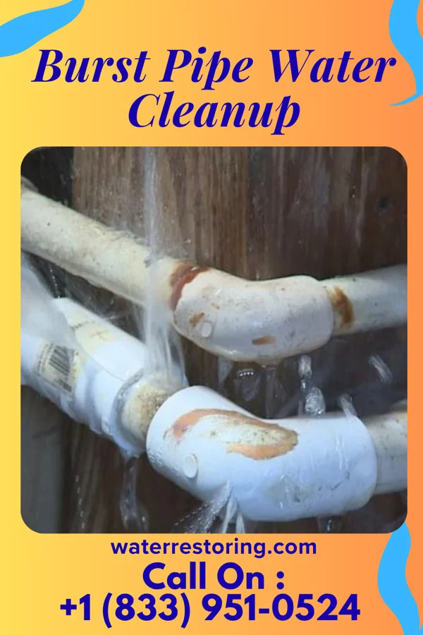 Burst Pipe Water Cleanup in Valley Falls, SC