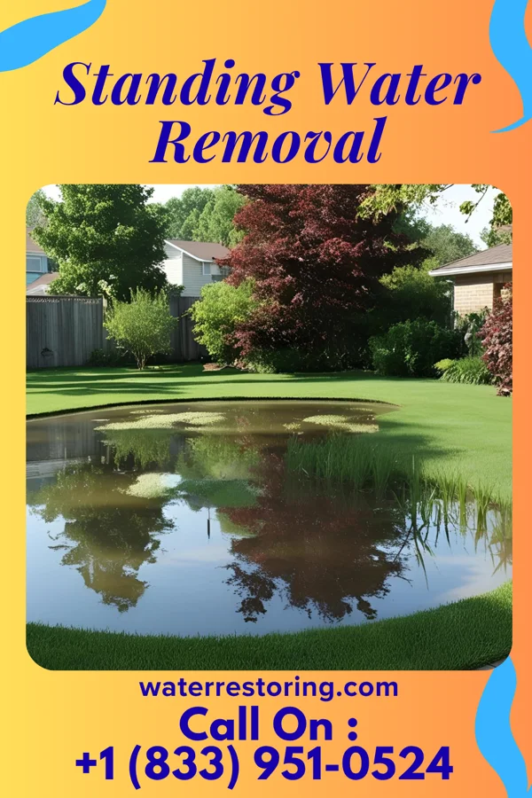 Standing Water Removal in Valley Falls, SC